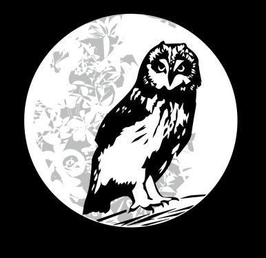 OWL LOGO3bsilver.png